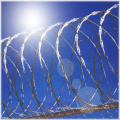 450mm/730mm/980mm Razor Wire / Galvanized Razor Barbed Wire